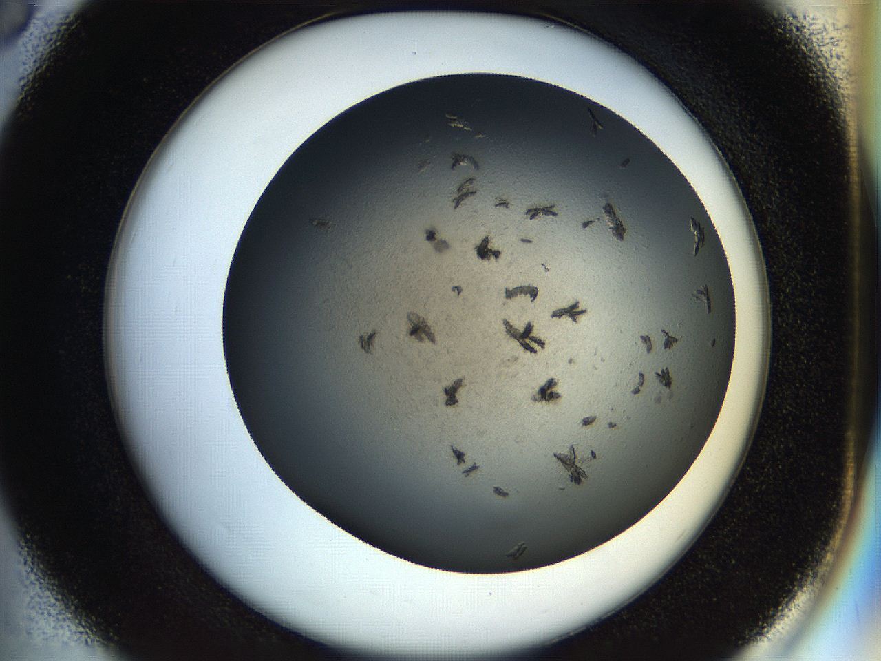054a_D6_ImagerDefaults_7.jpg