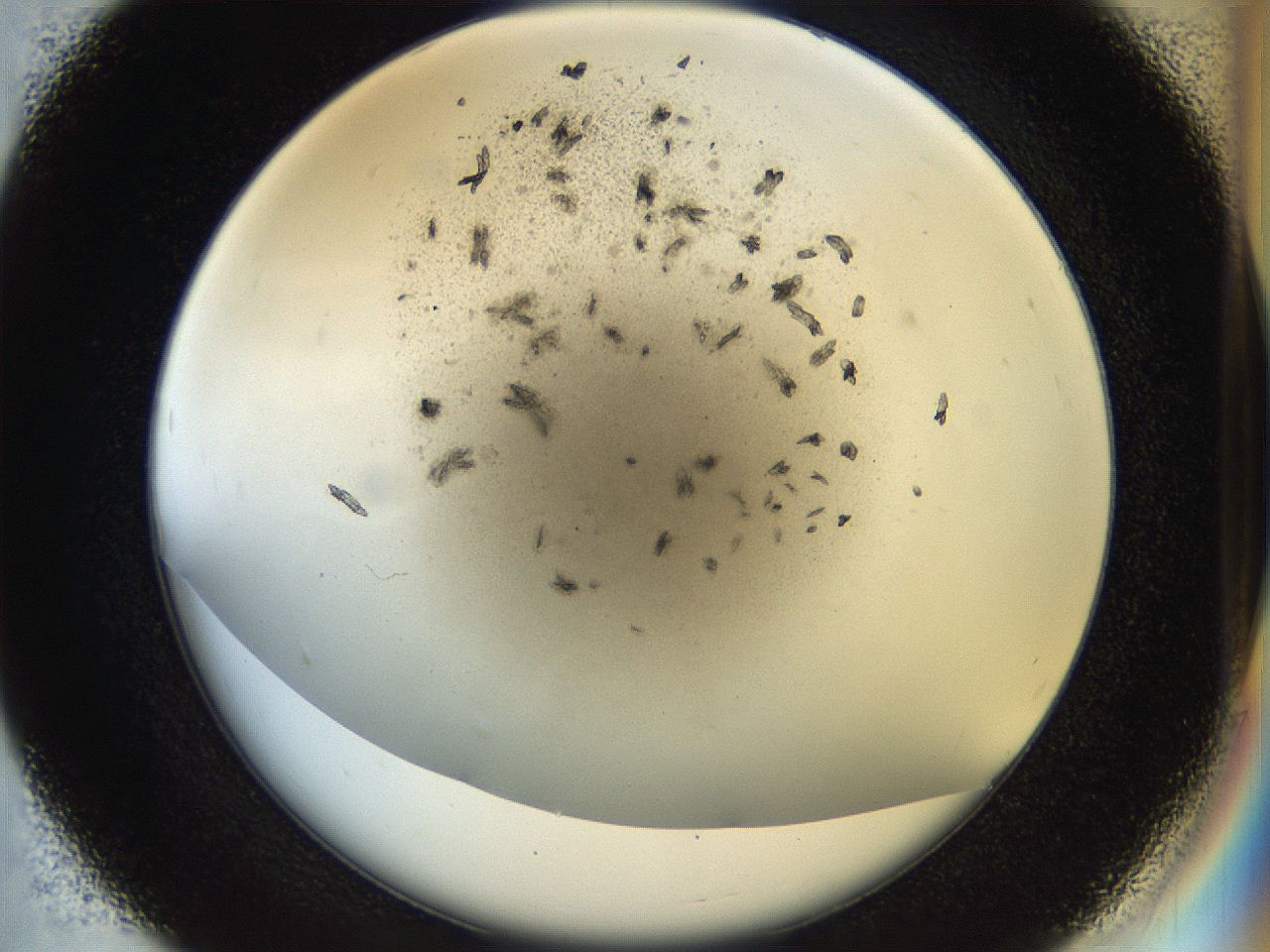 054a_D7_ImagerDefaults_7.jpg