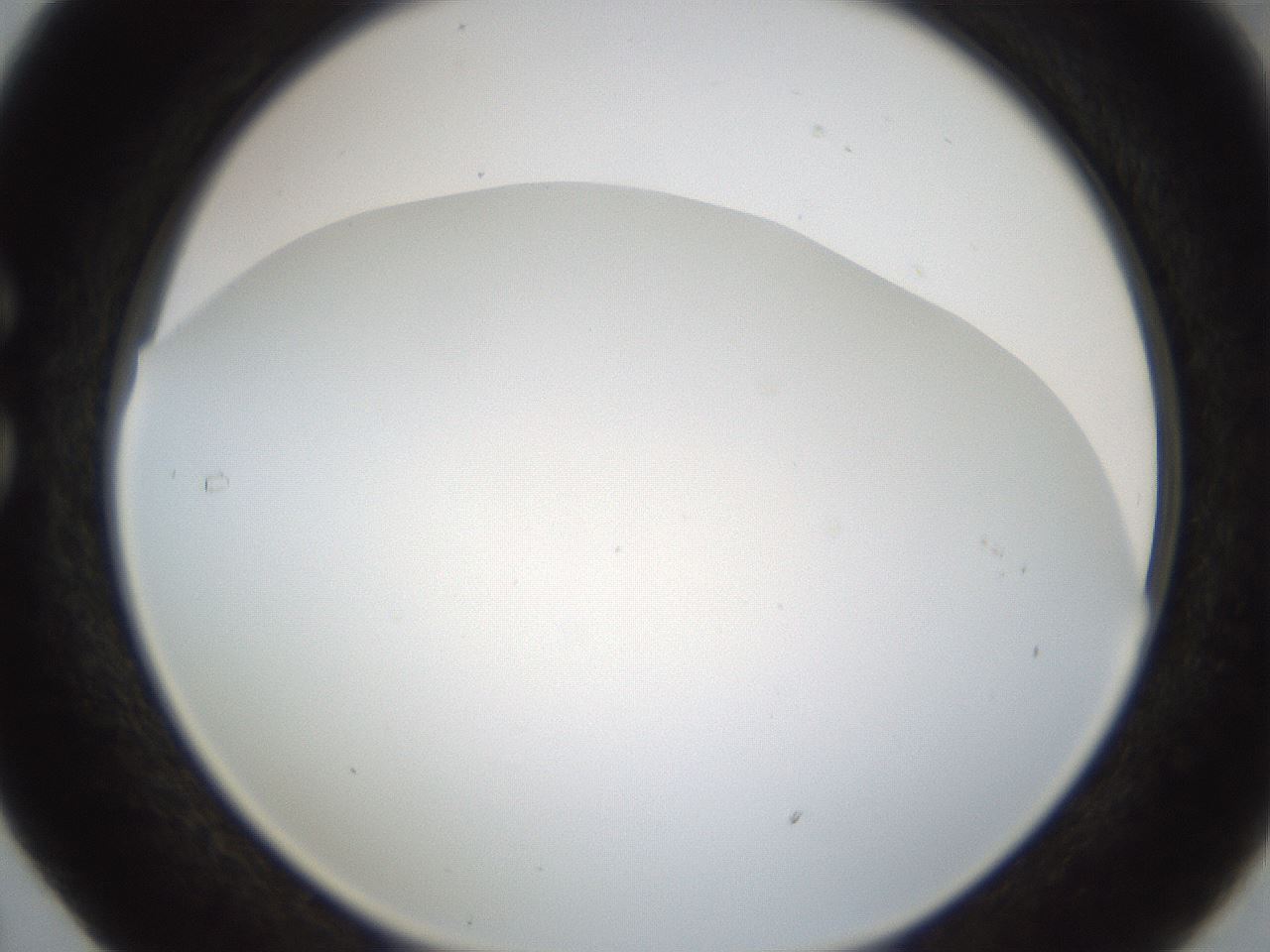 folderID213_plateID1213_batchID4659_wellNum29_profileID1_d1_r69016_ef.jpg