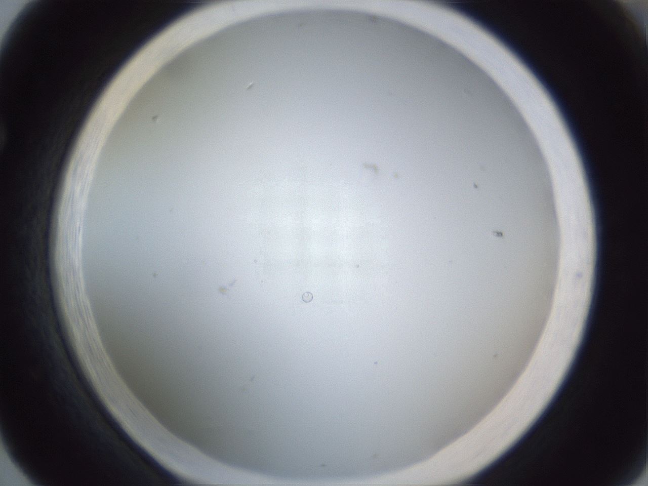 folderID215_plateID1215_batchID3377_wellNum65_profileID1_d1_r67264_ef.jpg