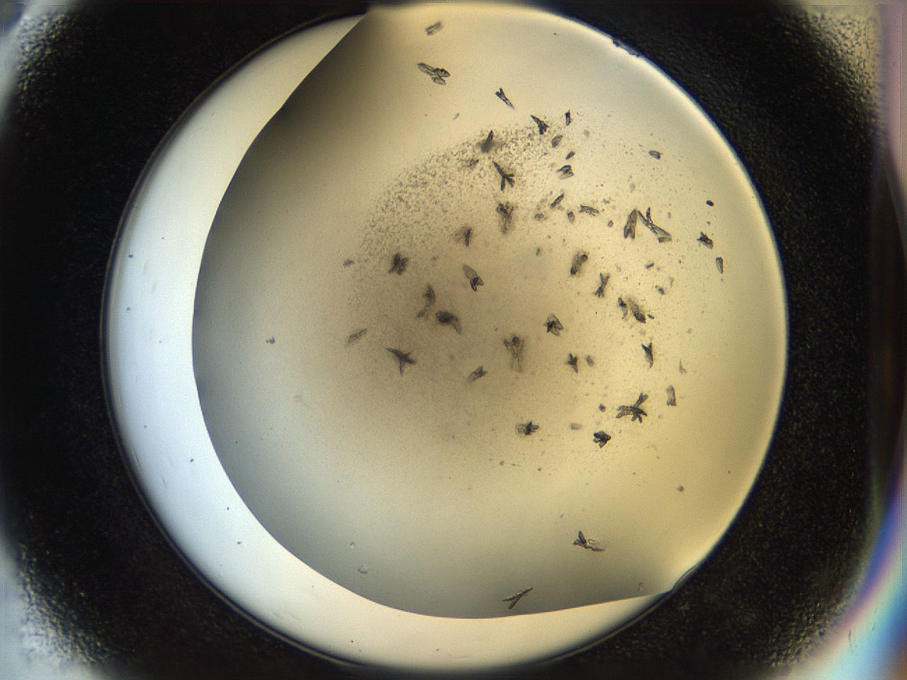 054a_D8_ImagerDefaults_7.jpg