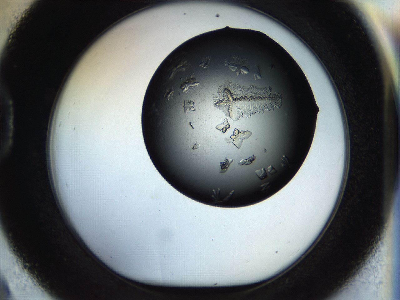 054a_D9_ImagerDefaults_8.jpg