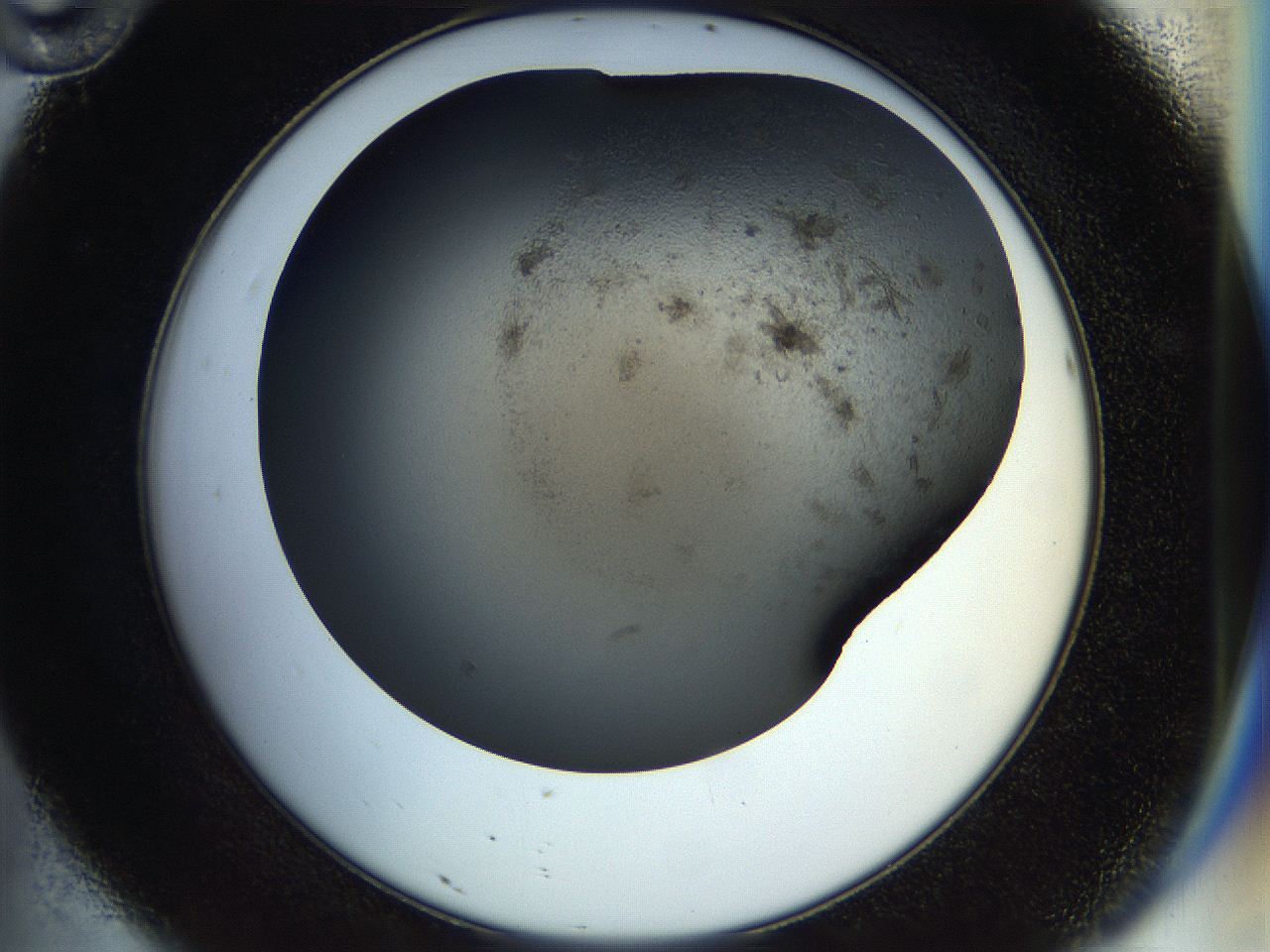 054a_D10_ImagerDefaults_7.jpg