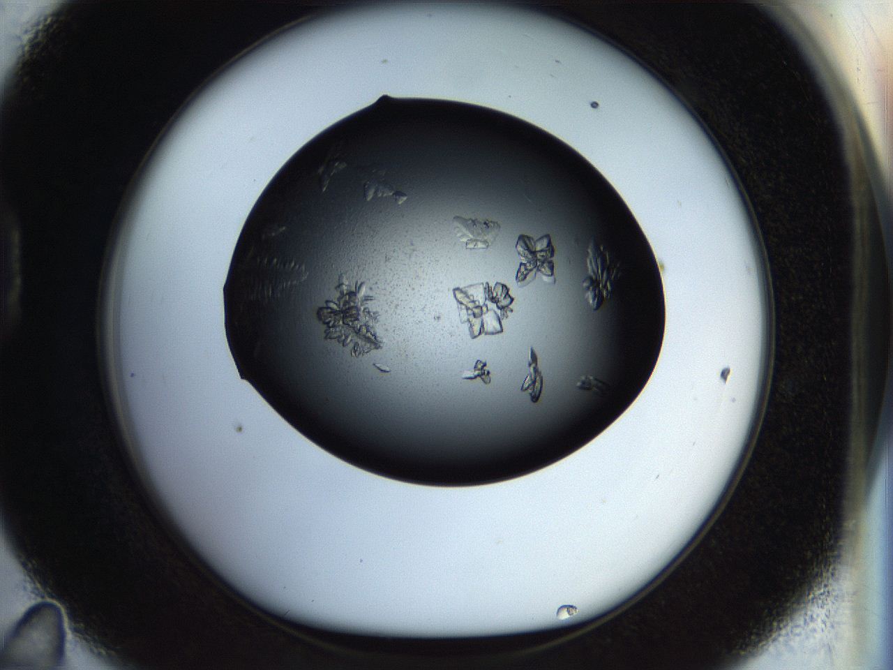 054a_D11_ImagerDefaults_8.jpg