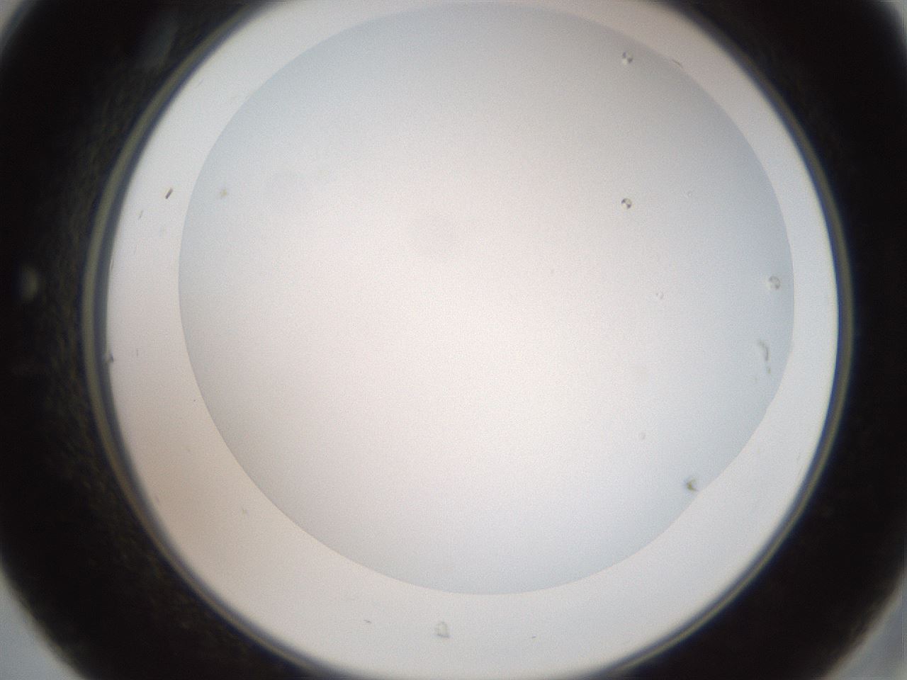 folderID22_plateID3022_batchID16542_wellNum31_profileID1_d2_r252352_ef.jpg