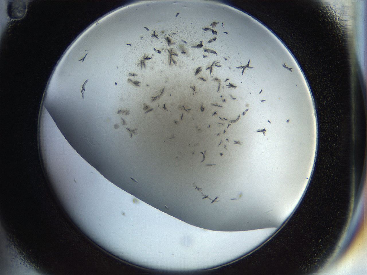 054a_D11_ImagerDefaults_7.jpg