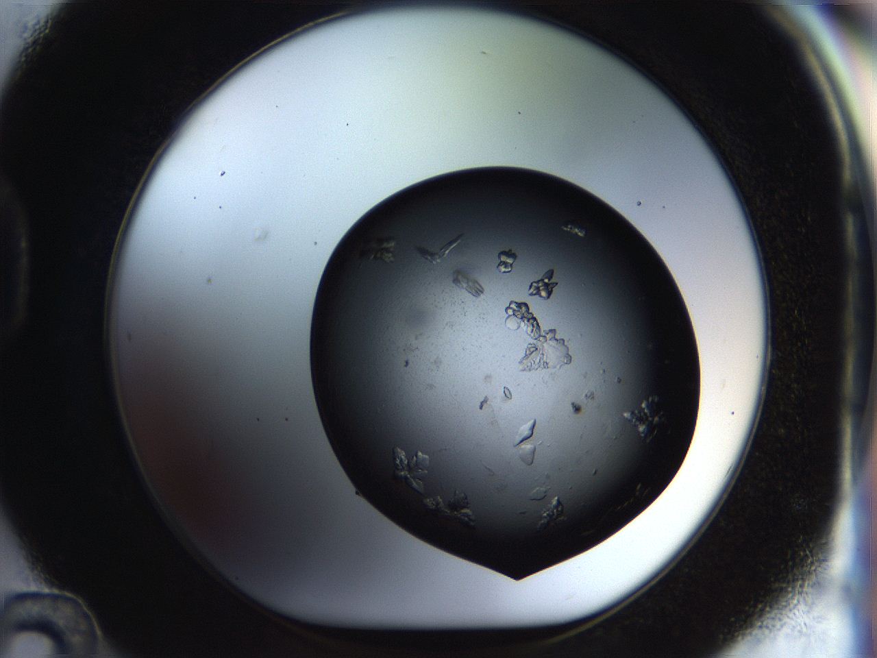 054a_D12_ImagerDefaults_8.jpg