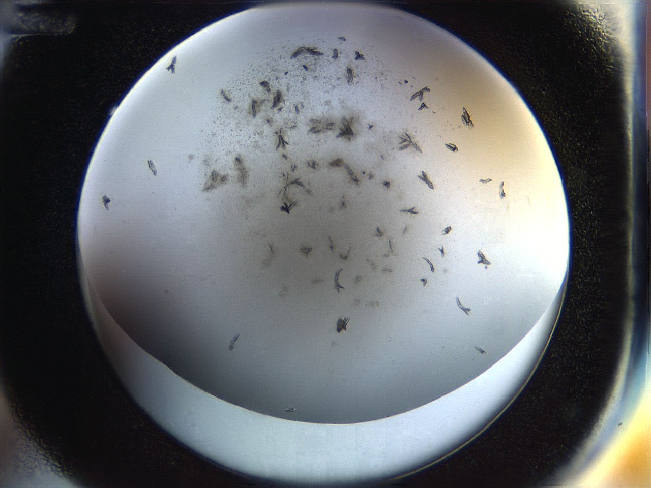 054a_D12_ImagerDefaults_7.jpg