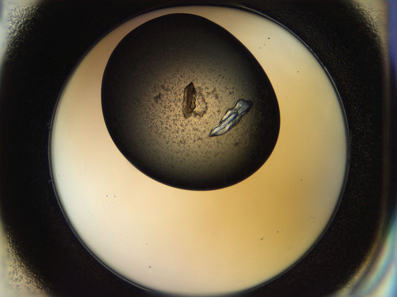 054a_E1_ImagerDefaults_9.jpg