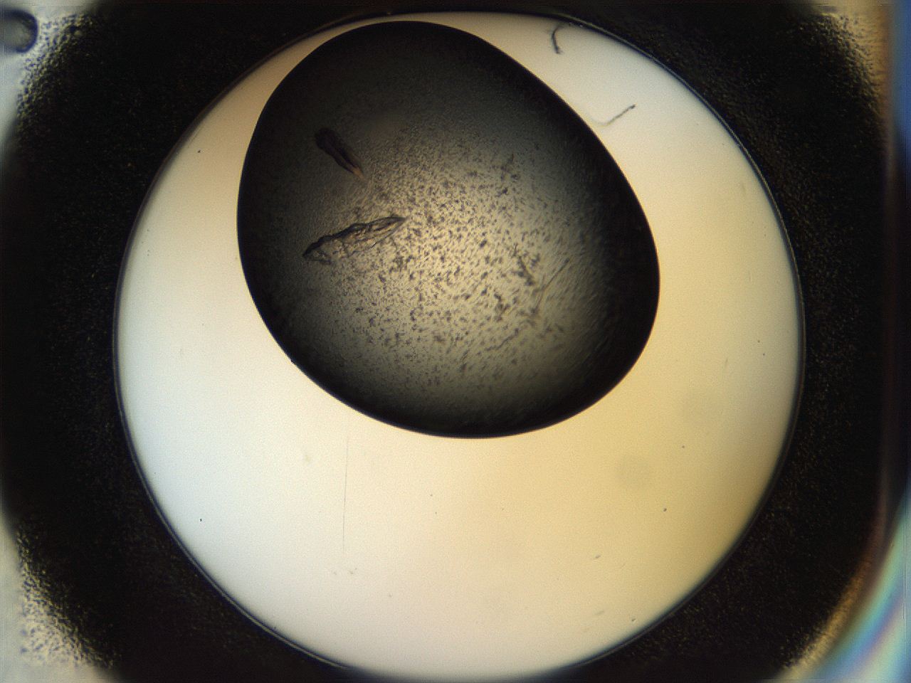 054a_E2_ImagerDefaults_9.jpg