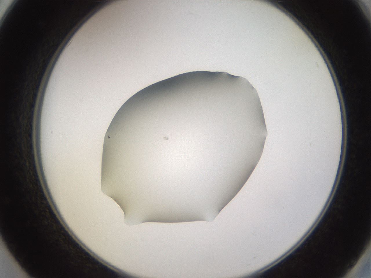 folderID236_plateID3236_batchID18388_wellNum50_profileID1_d2_r281921_ef.jpg