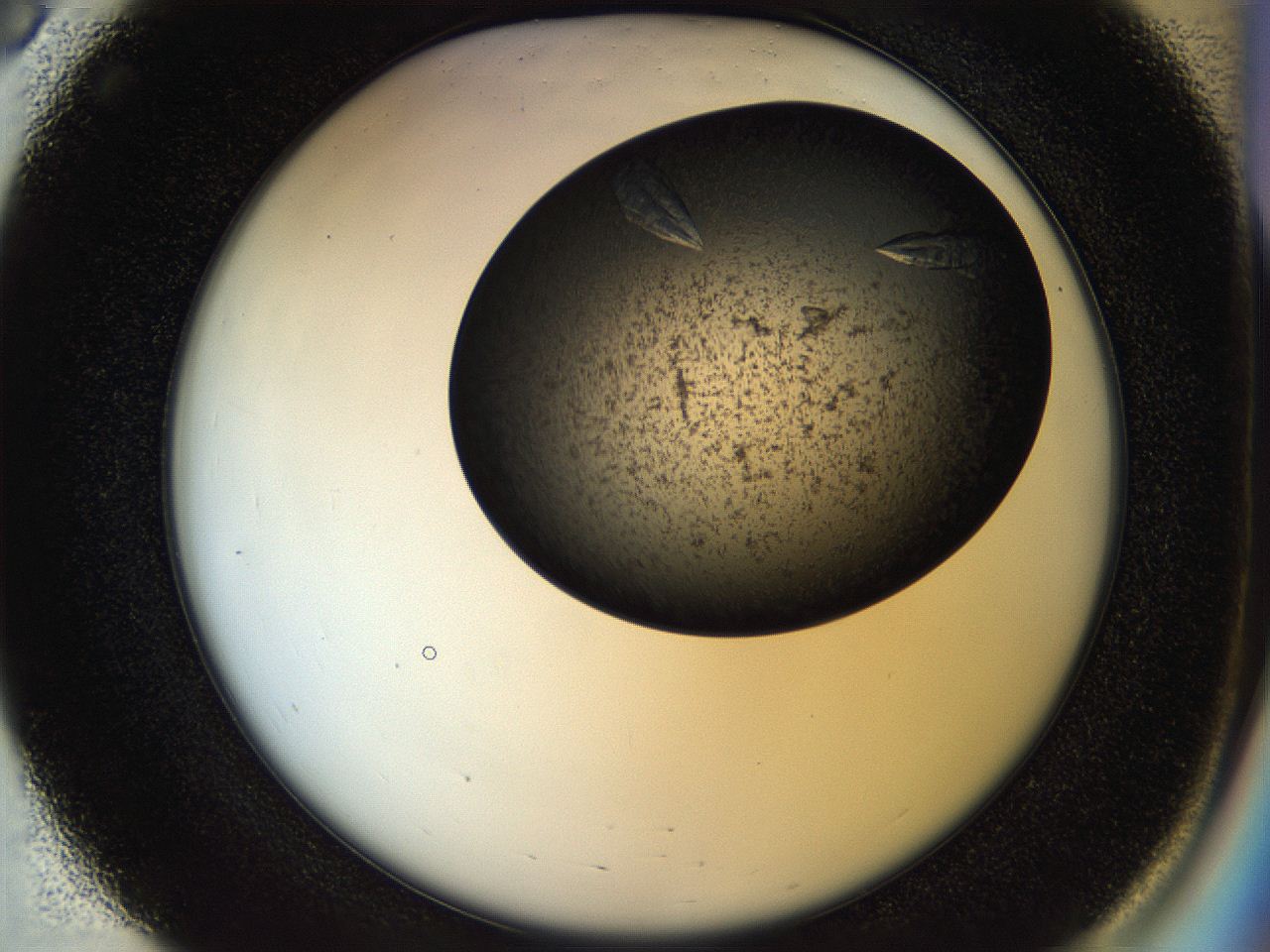 054a_E3_ImagerDefaults_9.jpg