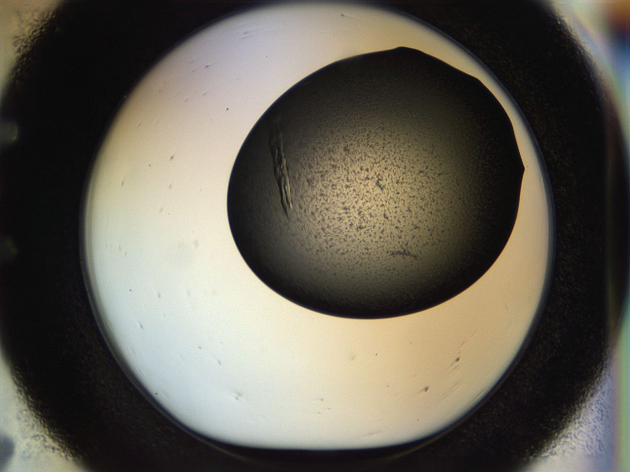 054a_E7_ImagerDefaults_8.jpg
