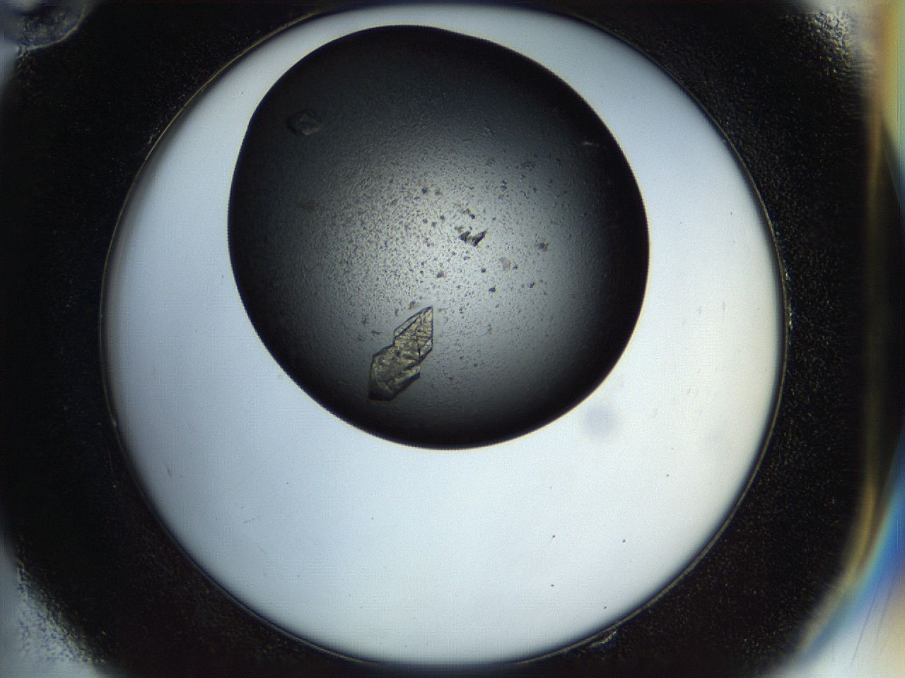 054a_E10_ImagerDefaults_9.jpg