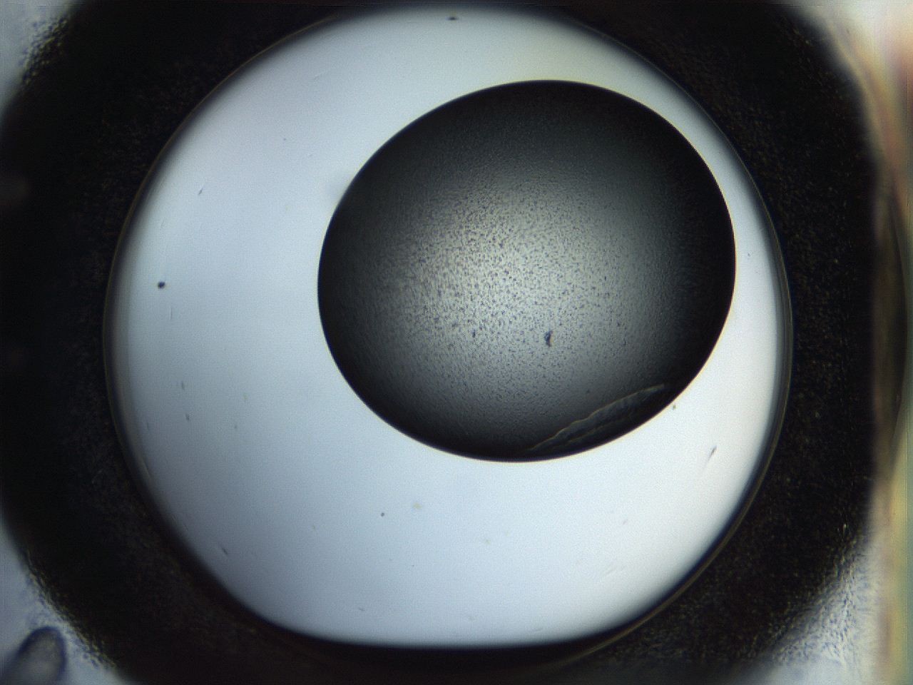 054a_E11_ImagerDefaults_8.jpg