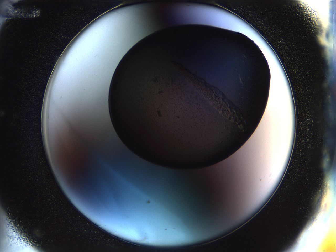 054a_E12_ImagerDefaults_9.jpg