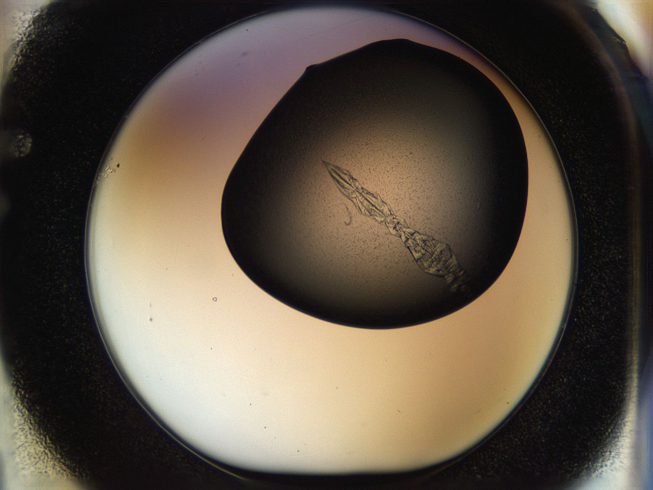 054a_F1_ImagerDefaults_8.jpg