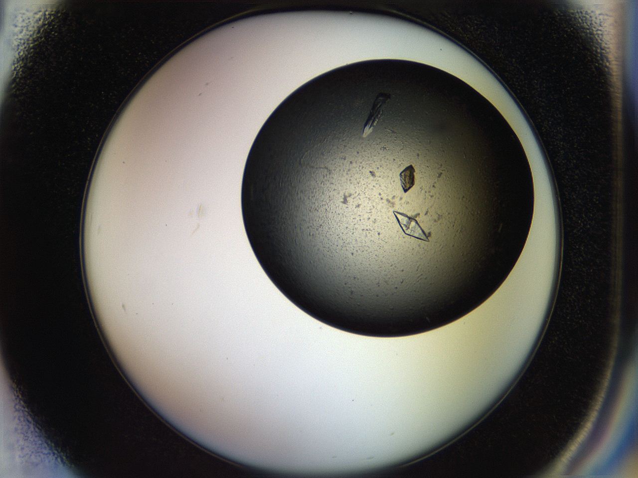054a_F1_ImagerDefaults_9.jpg