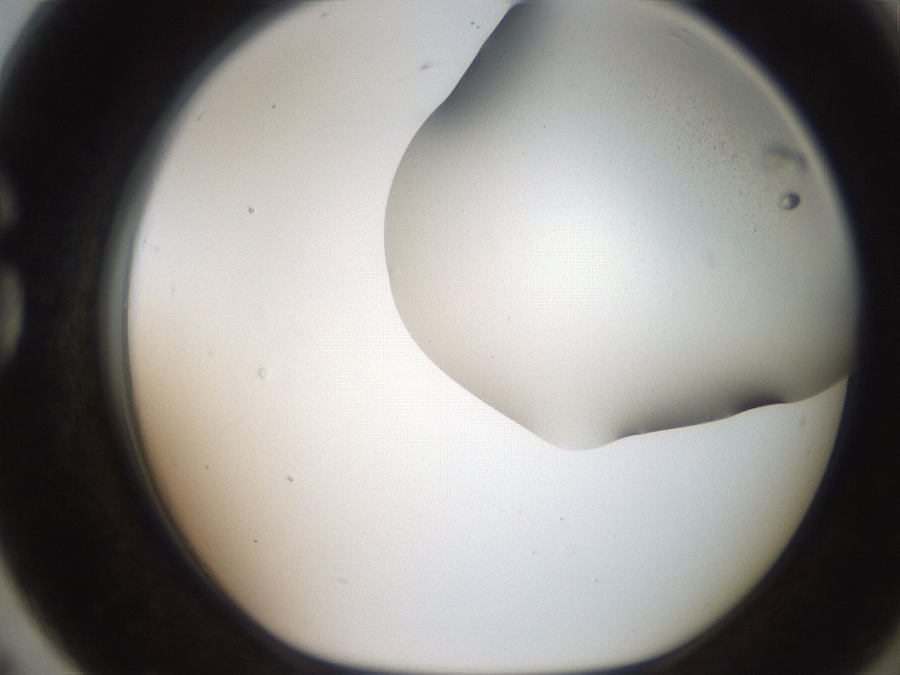 folderID242_plateID2242_batchID10101_wellNum79_profileID1_d1_r154848_ef.jpg