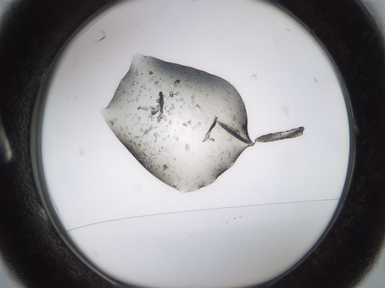 folderID244_plateID3244_batchID18487_wellNum1_profileID1_d1_r283459_ef.jpg