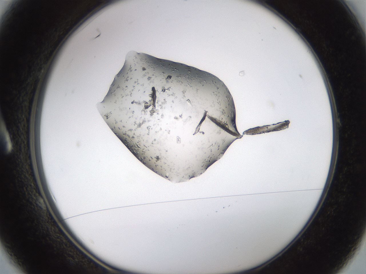 folderID244_plateID3244_batchID18594_wellNum1_profileID1_d1_r283459_ef.jpg