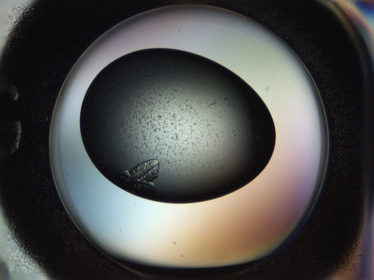 054a_G4_ImagerDefaults_8.jpg