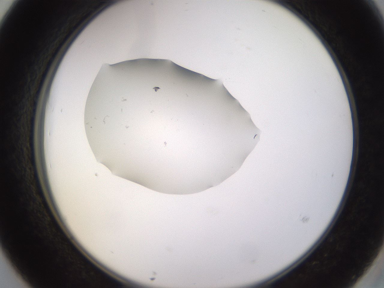 folderID249_plateID3249_batchID18630_wellNum39_profileID1_d2_r285840_ef.jpg