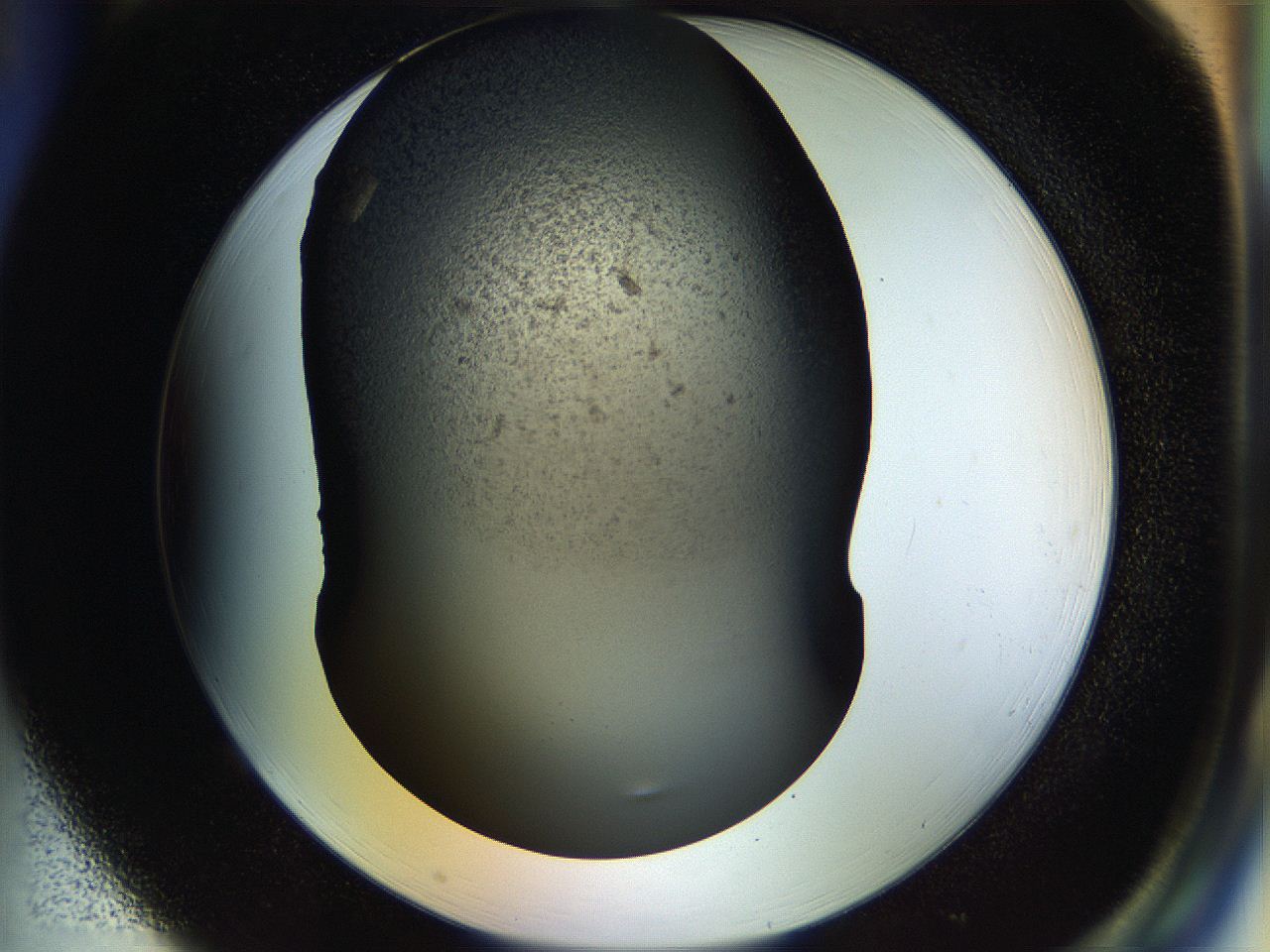 054a_H1_ImagerDefaults_8.jpg