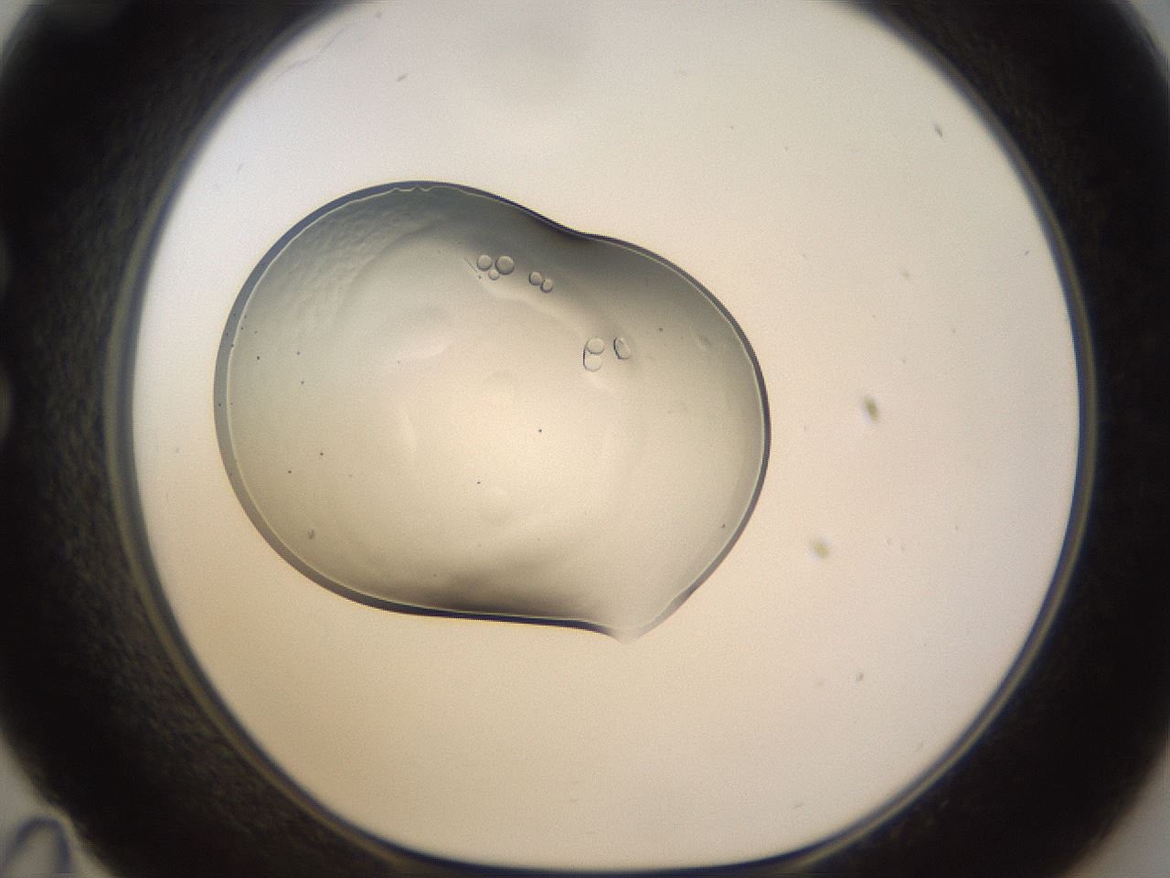 folderID267_plateID3267_batchID19548_wellNum35_profileID1_d1_r286803_ef.jpg
