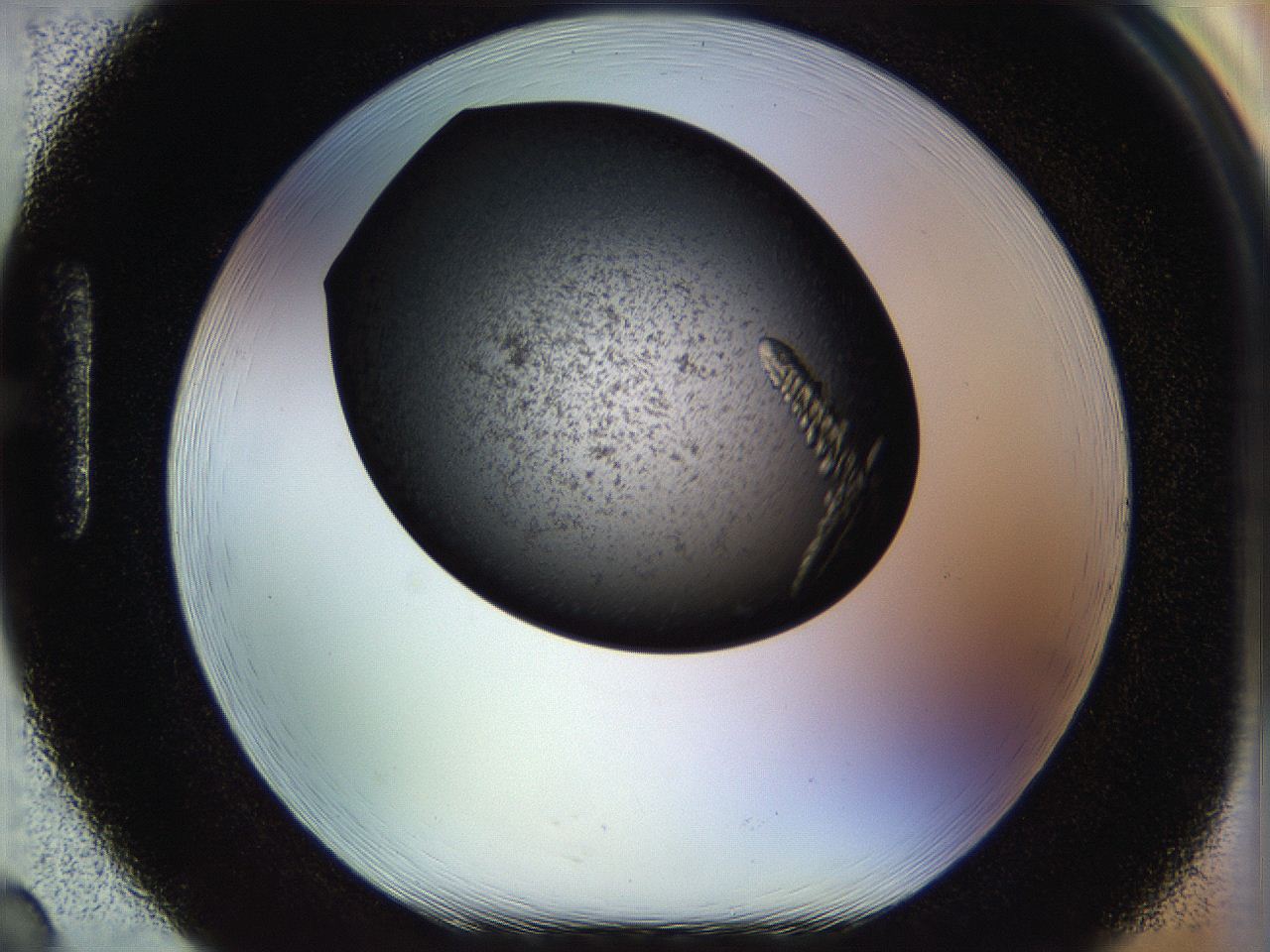 054a_H2_ImagerDefaults_8.jpg
