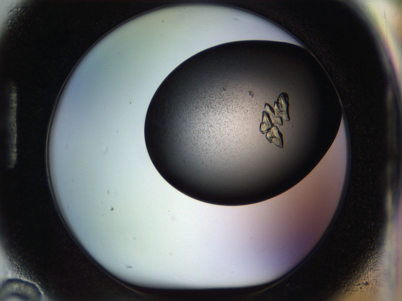 054a_H10_ImagerDefaults_8.jpg