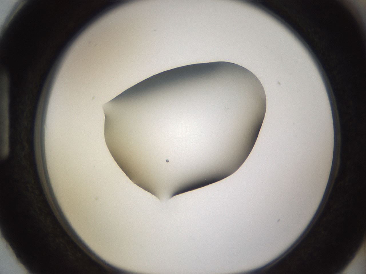 folderID280_plateID3280_batchID18708_wellNum87_profileID1_d1_r289505_ef.jpg