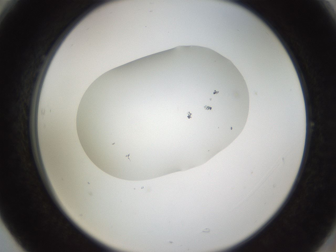 folderID280_plateID3280_batchID18805_wellNum77_profileID1_d2_r289486_ef.jpg