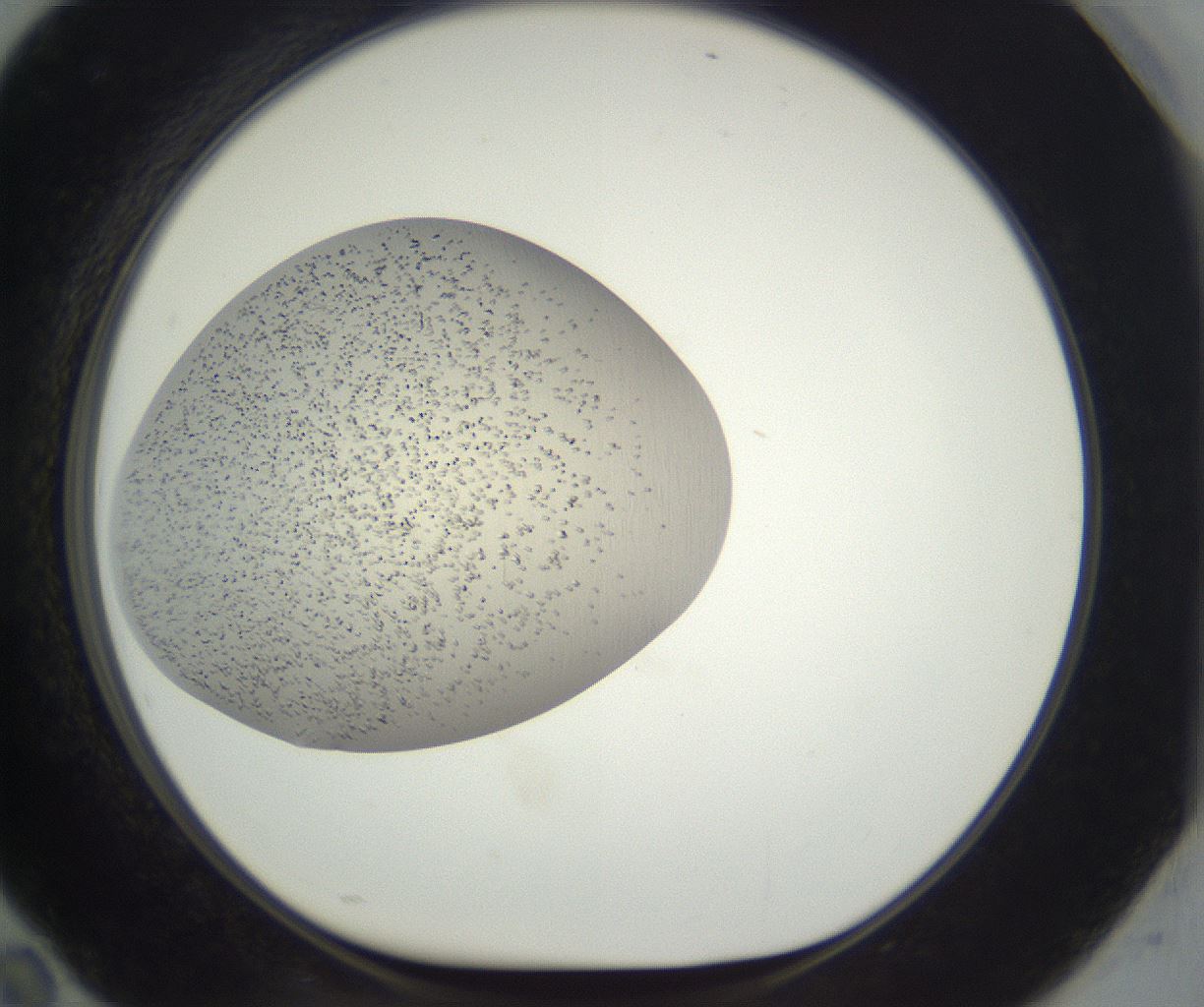 folderID287_plateID3287_batchID20769_wellNum94_profileID1_d1_r289969_ef.jpg