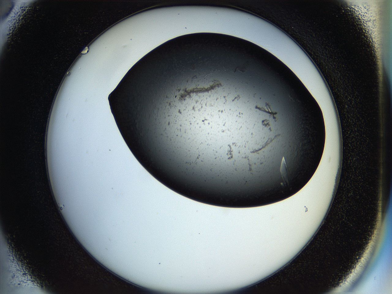 054b_C6_ImagerDefaults_9.jpg
