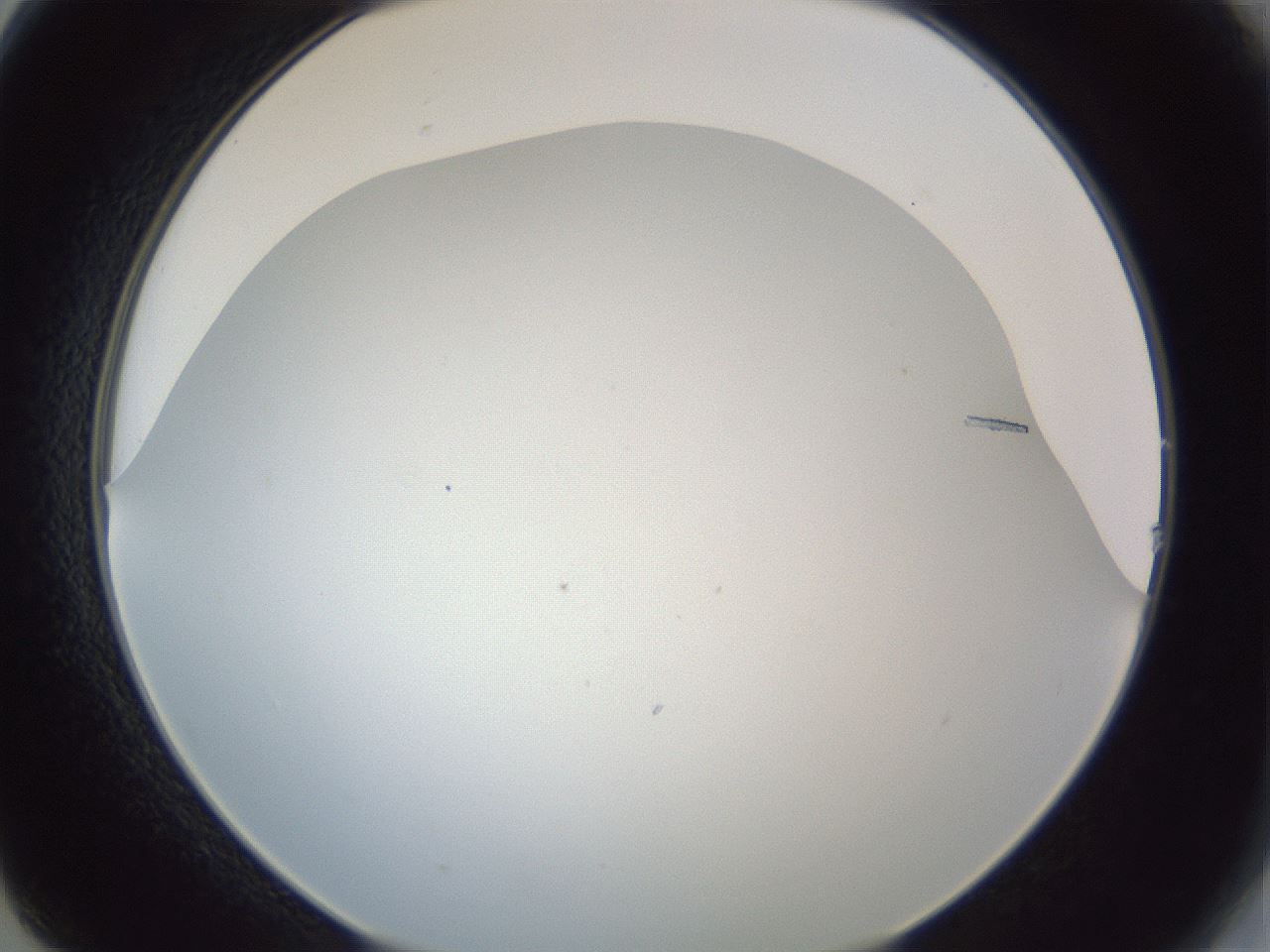 folderID205_plateID1205_batchID3392_wellNum14_profileID1_d2_r66779_ef.jpg