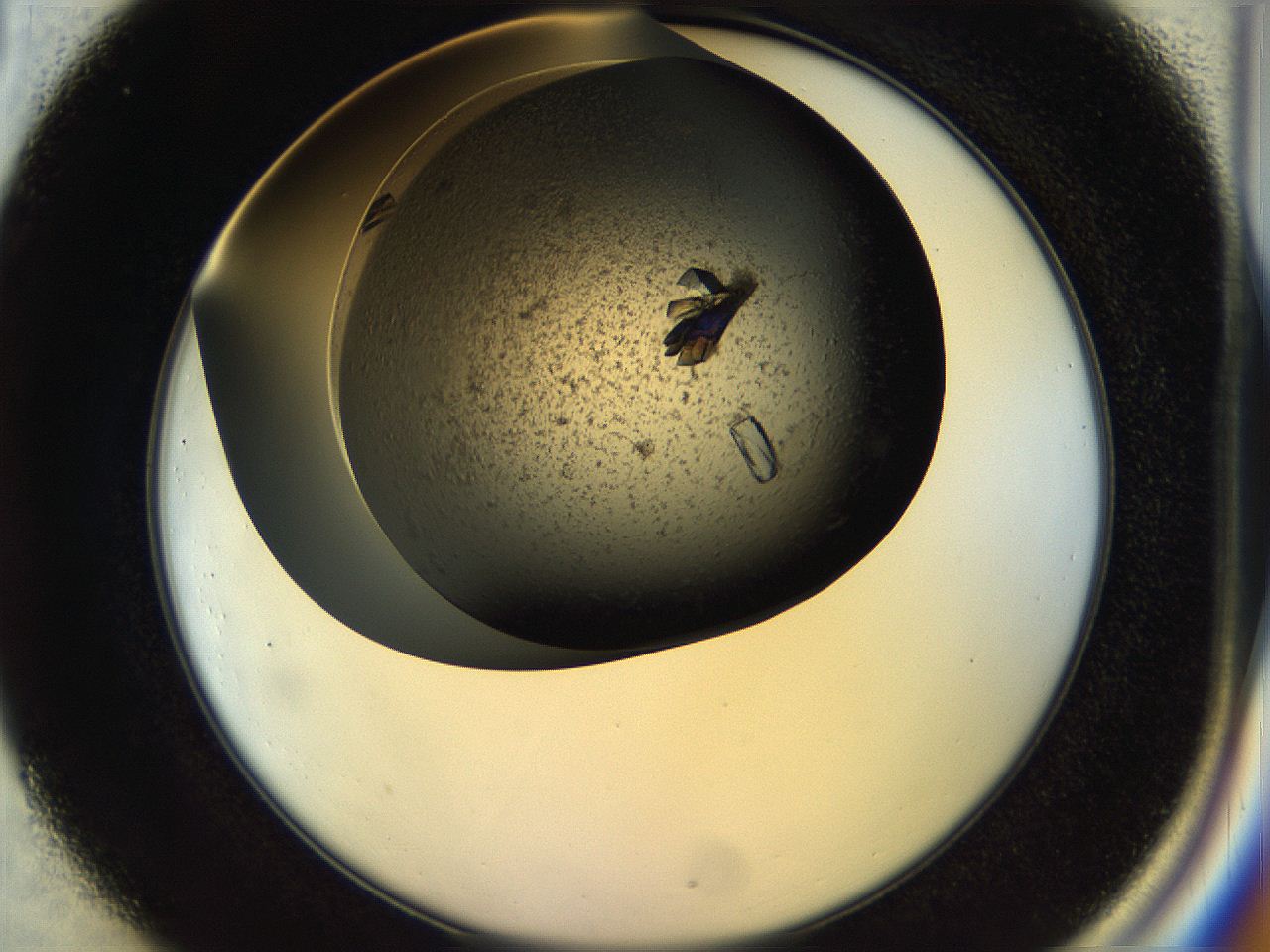 054b_C1_ImagerDefaults_9.jpg