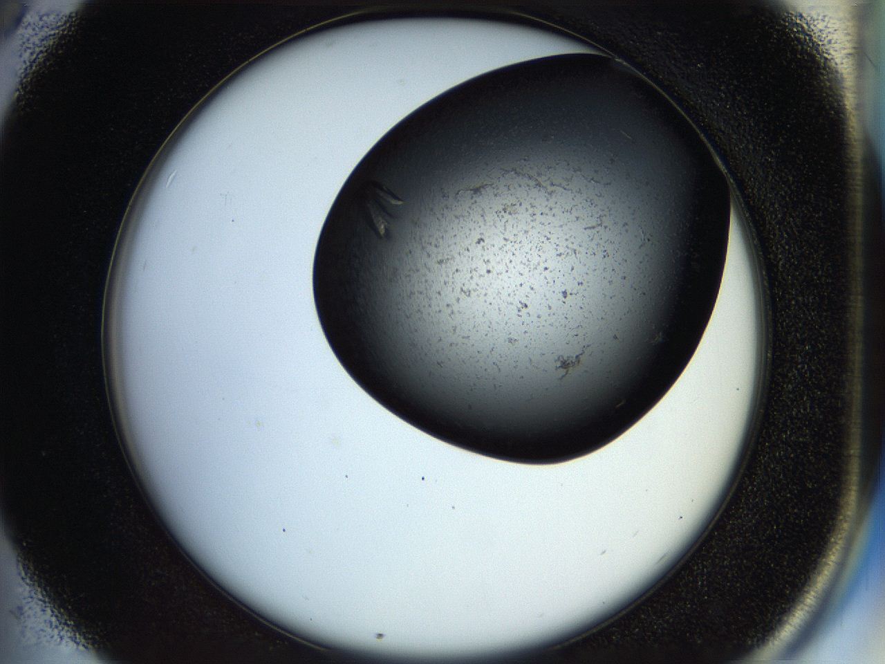 054b_C5_ImagerDefaults_9.jpg