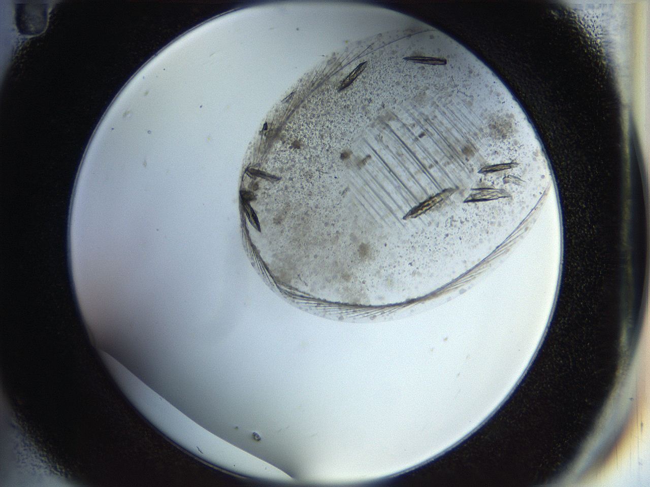 054b_C11_ImagerDefaults_8.jpg