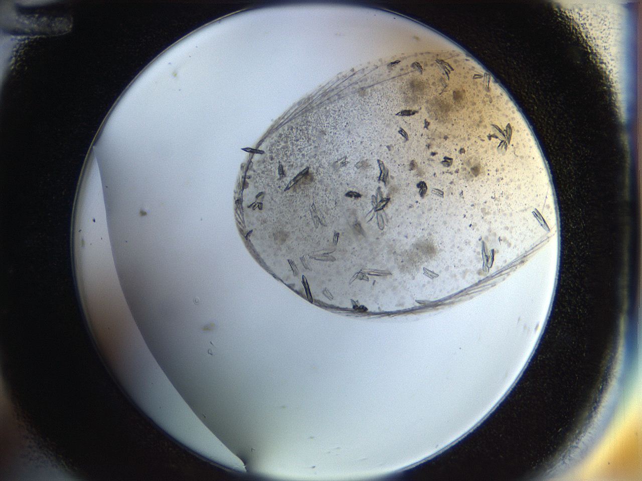 054b_C12_ImagerDefaults_8.jpg