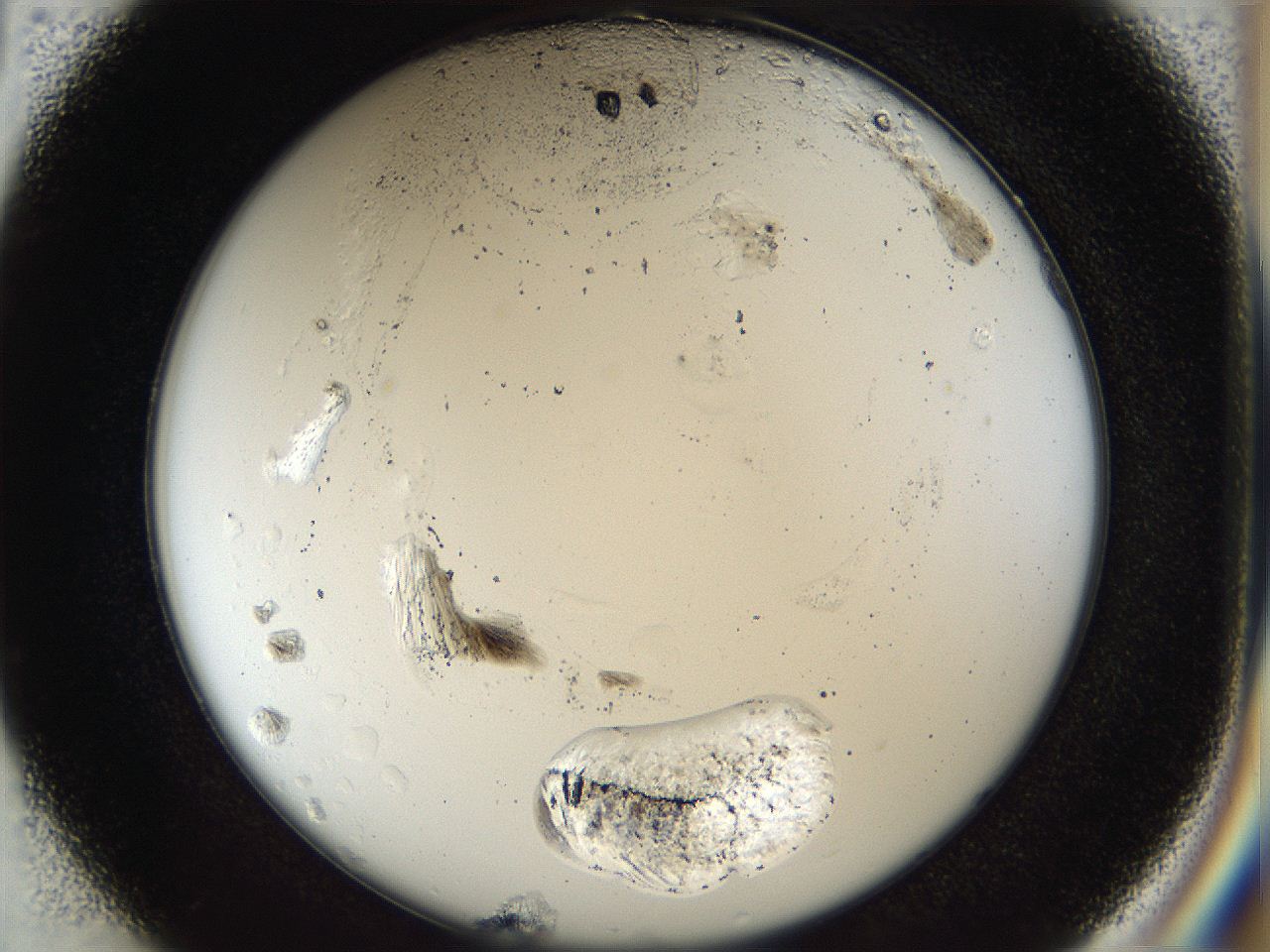 054b_D1_ImagerDefaults_8.jpg