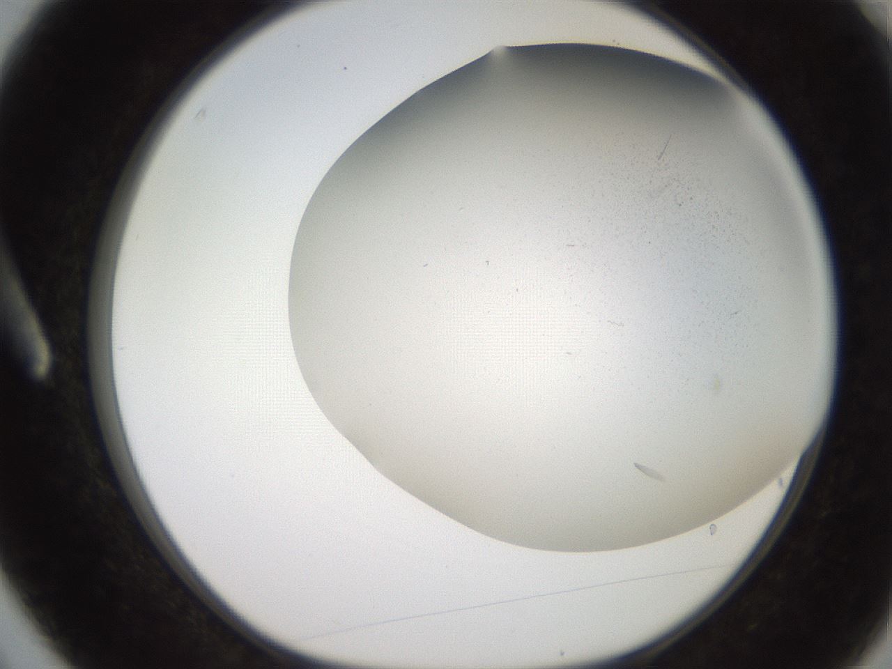 folderID235_plateID2235_batchID10019_wellNum3_profileID1_d1_r154461_ef.jpg