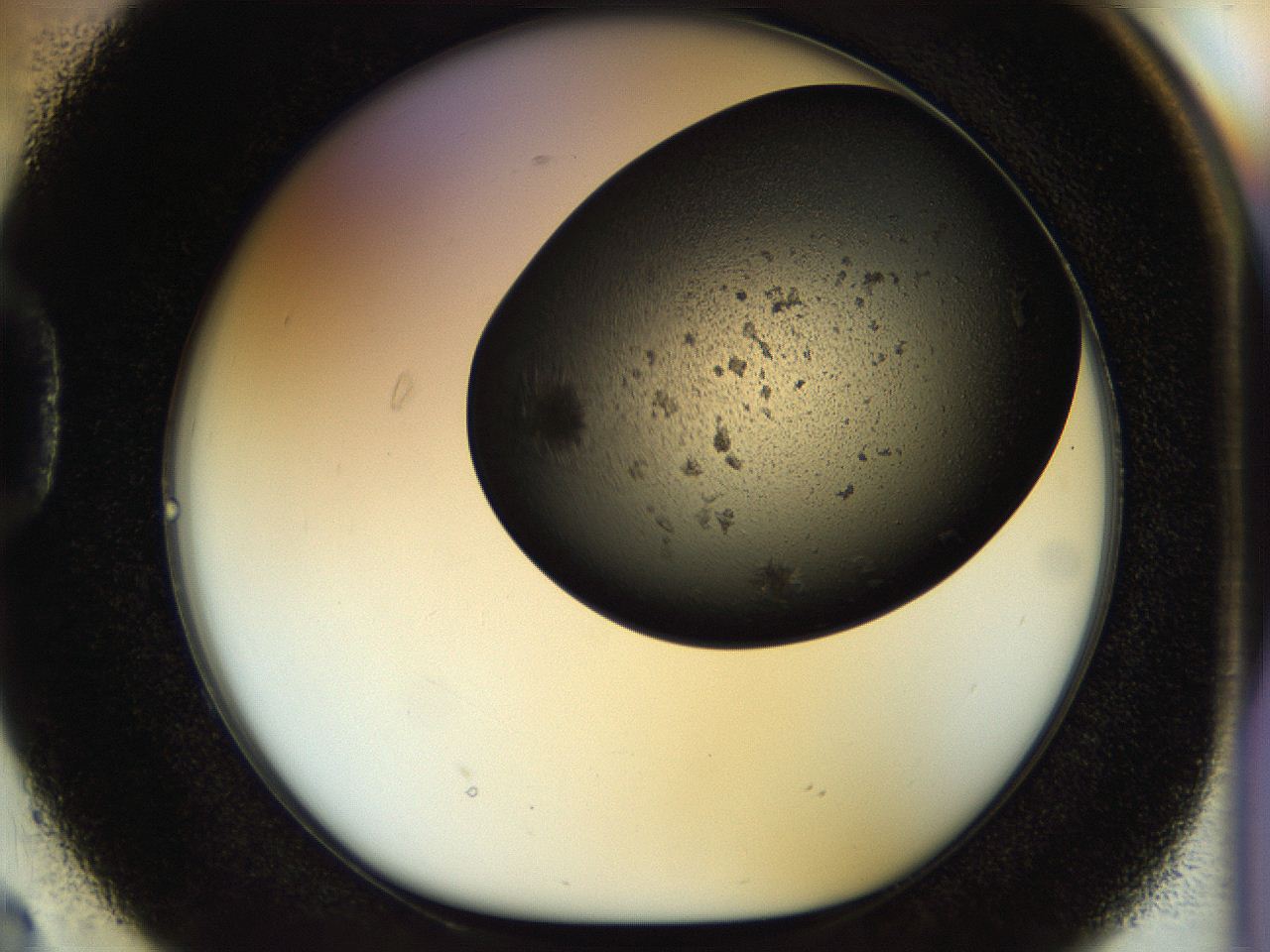 054b_D2_ImagerDefaults_6.jpg
