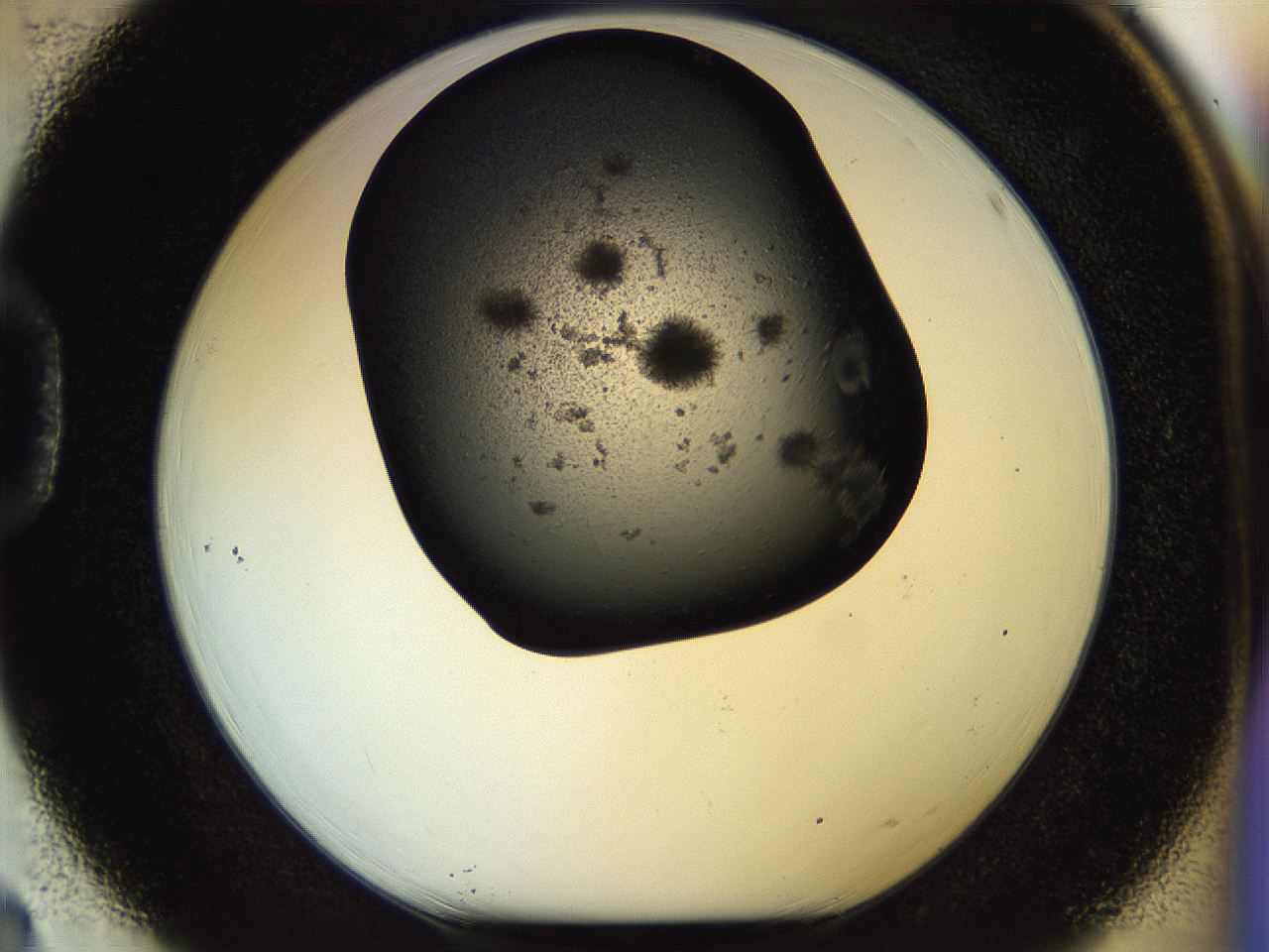 054b_D3_ImagerDefaults_6.jpg