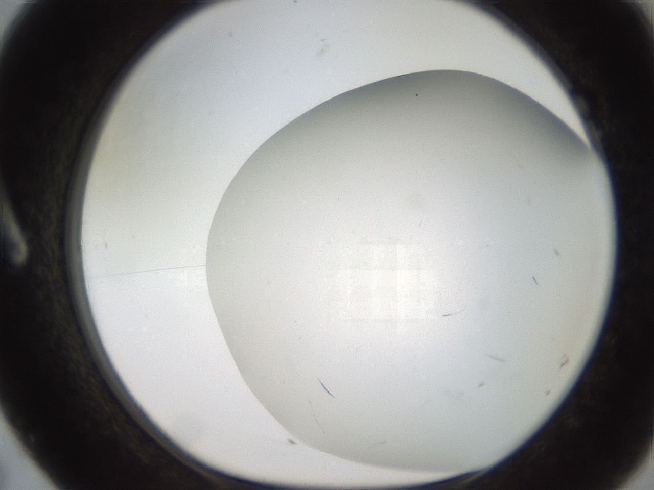 folderID236_plateID2236_batchID10013_wellNum7_profileID1_d1_r154561_ef.jpg