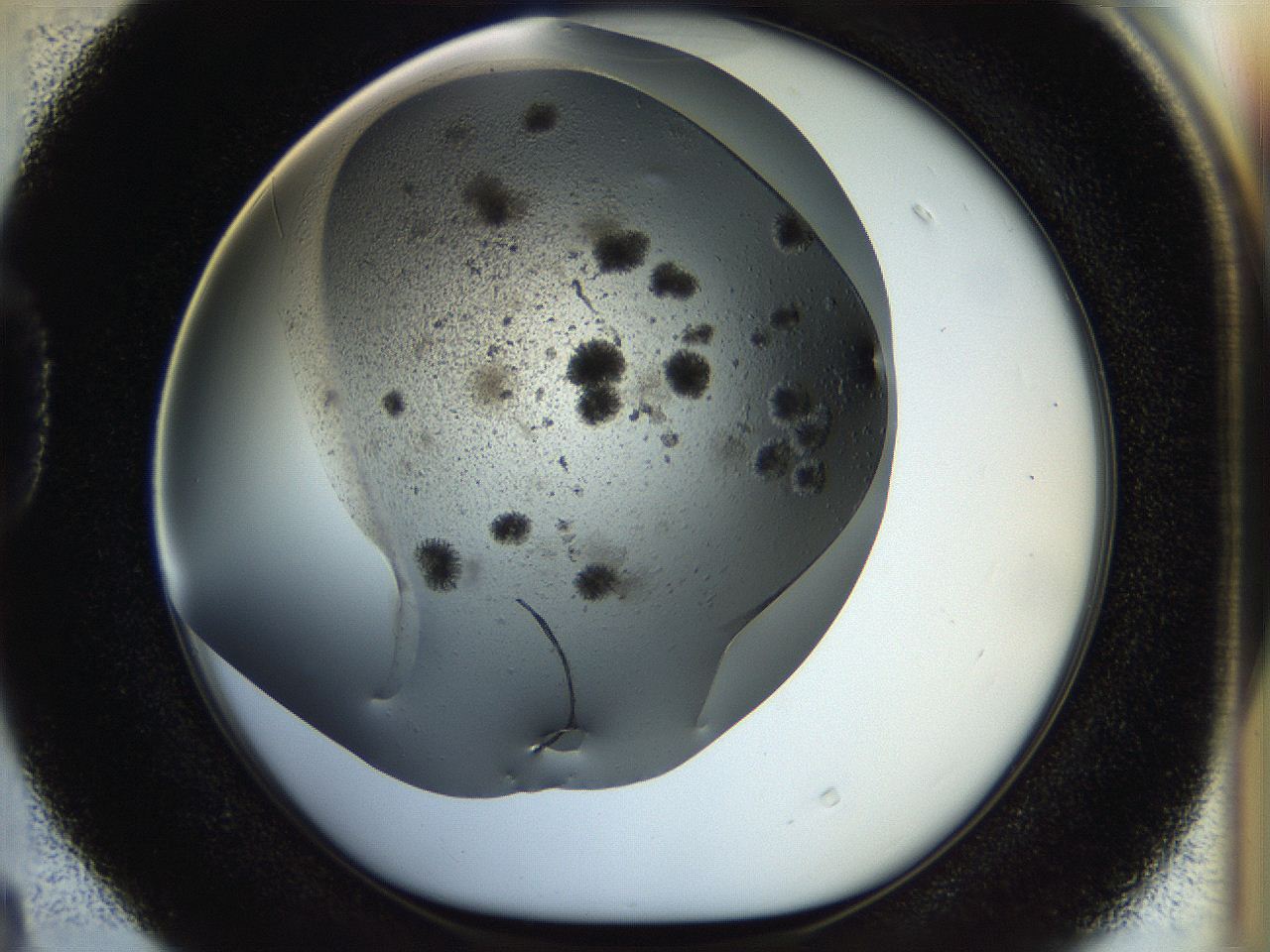 054b_D4_ImagerDefaults_6.jpg