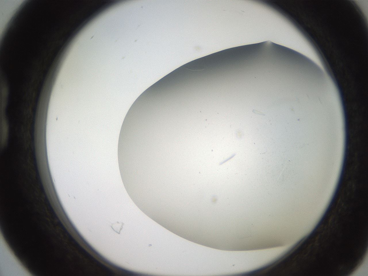 folderID235_plateID2235_batchID9984_wellNum16_profileID1_d1_r154474_ef.jpg