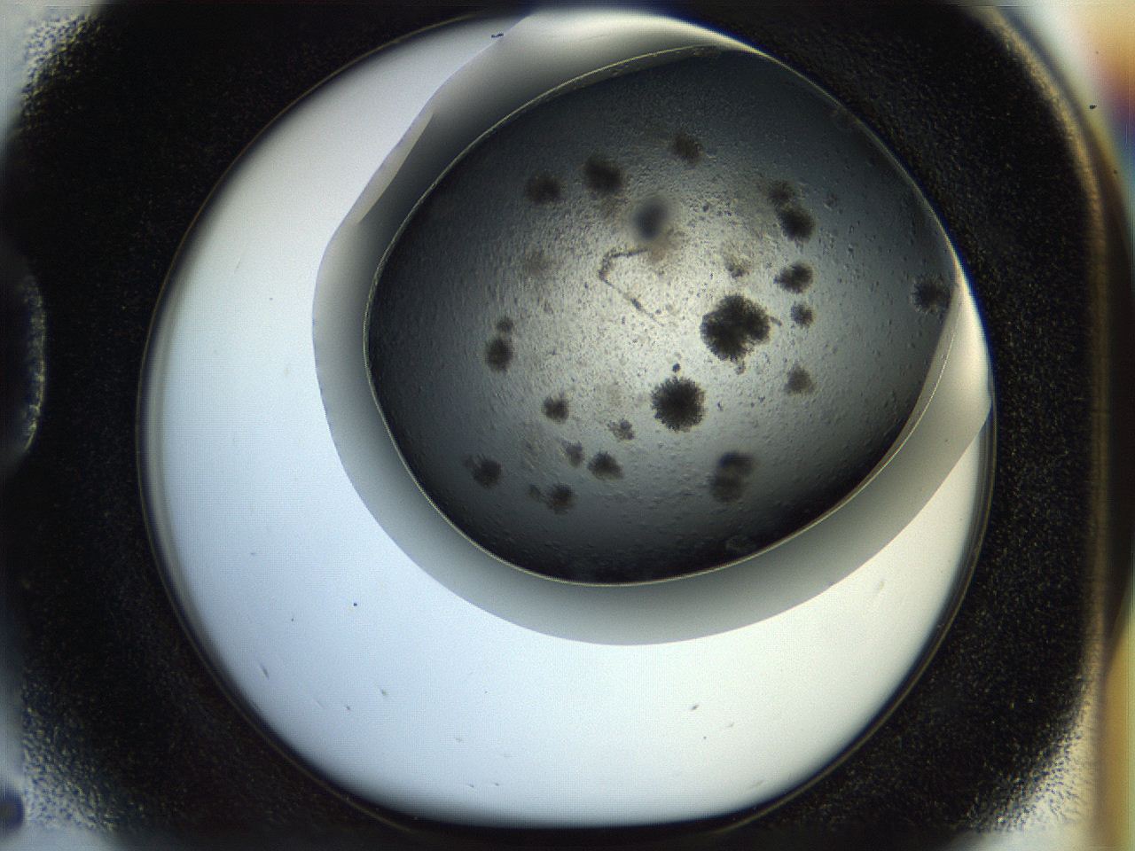 054b_D5_ImagerDefaults_6.jpg