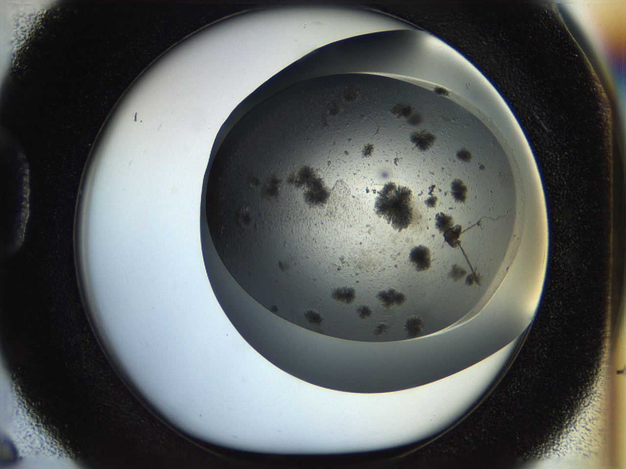 054b_D6_ImagerDefaults_6.jpg