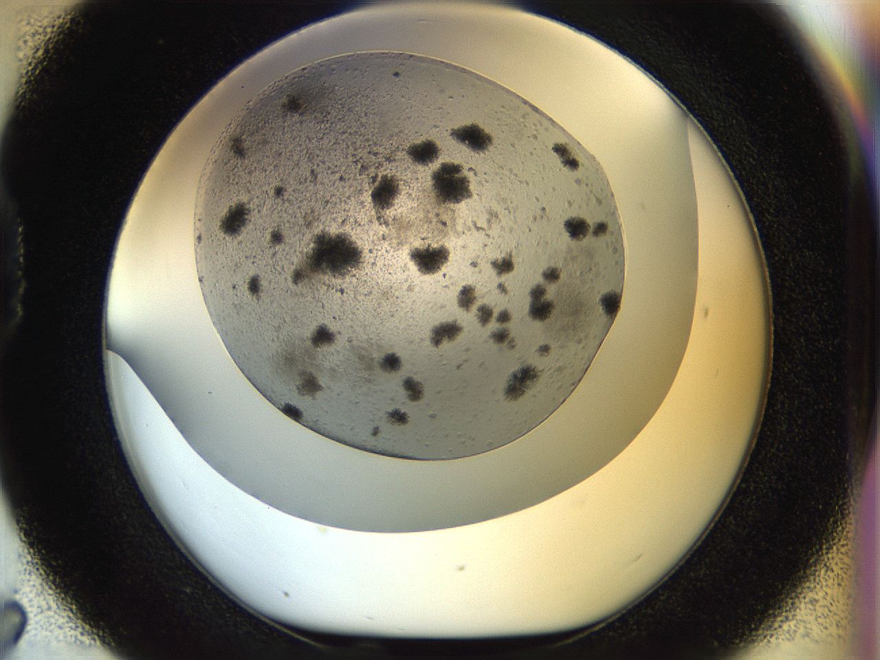 054b_D7_ImagerDefaults_6.jpg